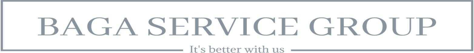 BSG-METAL • ბაგა სერვის ჯგუფი